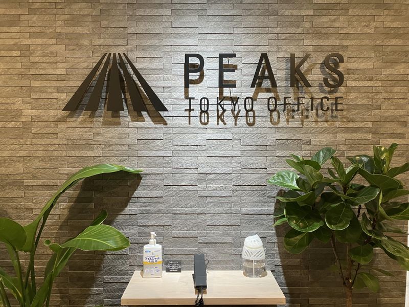 土地家屋調査士法人ＰＥＡＫＳ　ＴＯＫＹＯ　ＯＦＦＩＣＥの求人・転職情報