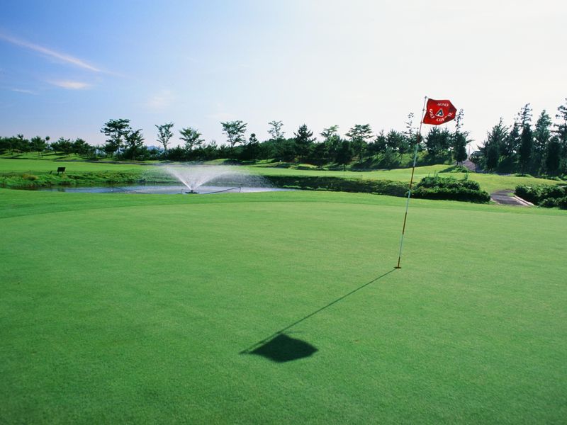 ニホンターフメンテナンス株式会社