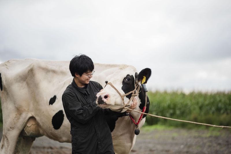 株式会社三澤牧場