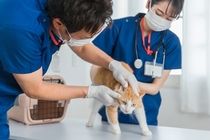 株式会社トラストグロース西日本の派遣求人情報