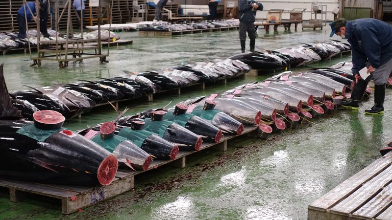 株式会社　魚半の求人情報