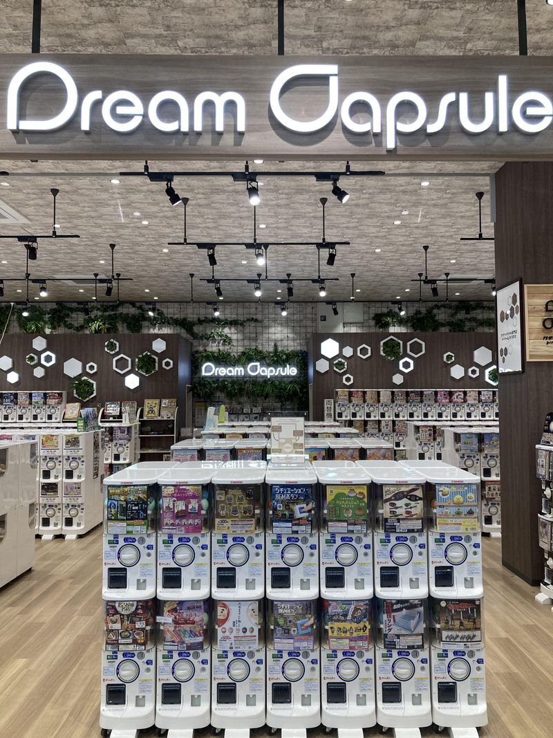 ドリームカプセル　イオンモールKYOTOの派遣求人情報