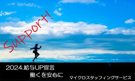 株式会社マイクロスタッフィングサービスの求人5