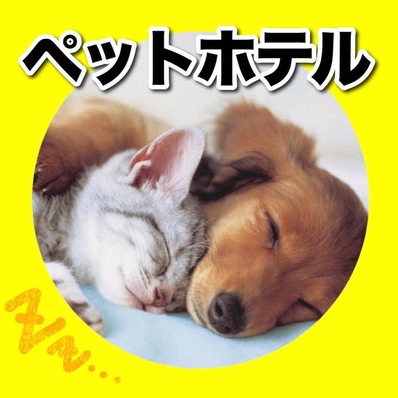 ペットショップAペット枚方店のアルバイト・バイト求人情報-04