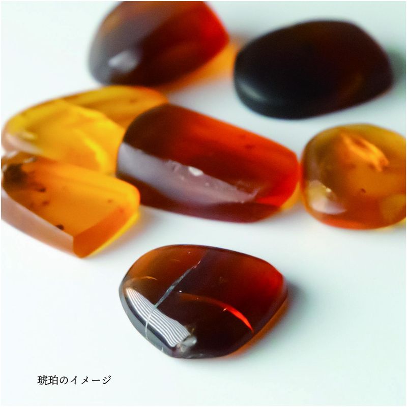 株式会社MNHのアルバイト・バイト求人情報-05