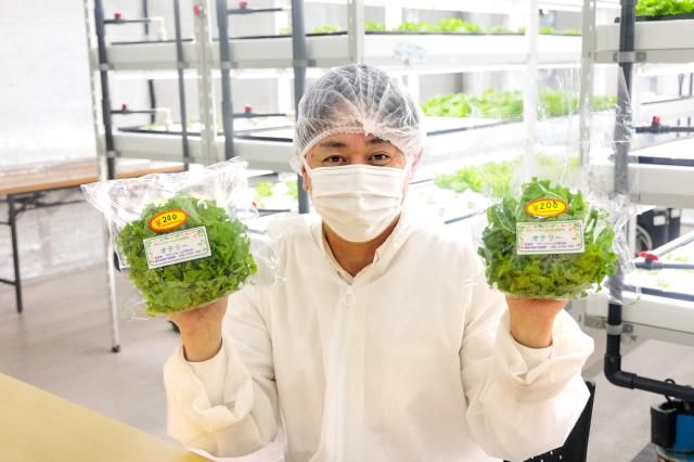 シップヘルスケアフード株式会社の求人・転職情報