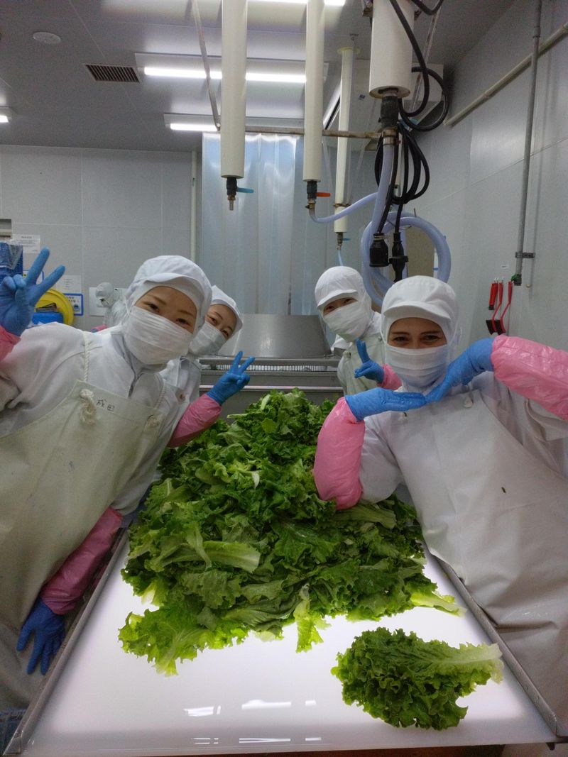 デリカフーズ株式会社