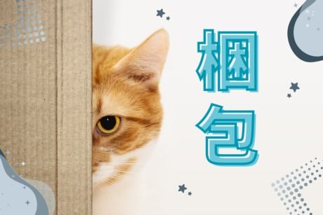 株式会社ヒューマンアイズの求人・転職情報
