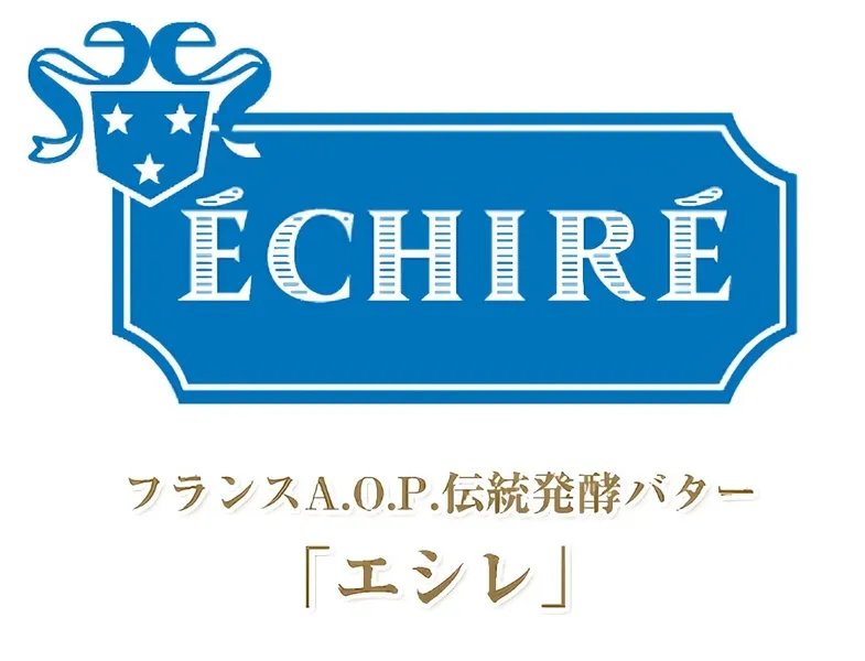 ファッション人材リンク株式会社のアルバイト・バイト求人情報