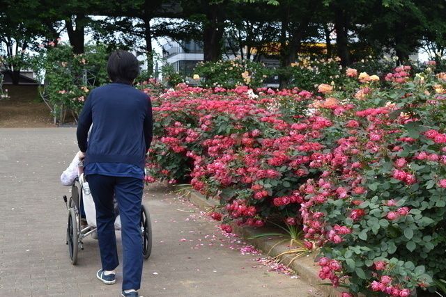 株式会社ふれあい広場　ふれあい多居夢　志木宗岡のアルバイト・バイト求人情報-02