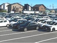 株式会社エムズキャリーの求人・転職情報