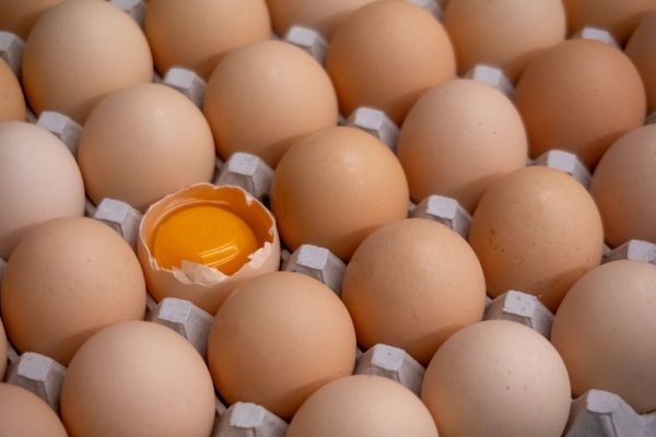 株式会社アイニードのアルバイト・バイト求人情報-03