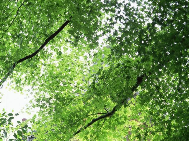 港区立芝公園管理事務所(株式会社日比谷アメニス)のアルバイト・バイト求人情報-04