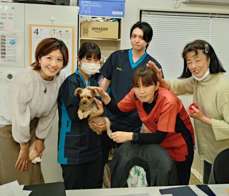 株式会社陽だまりの求人・転職情報