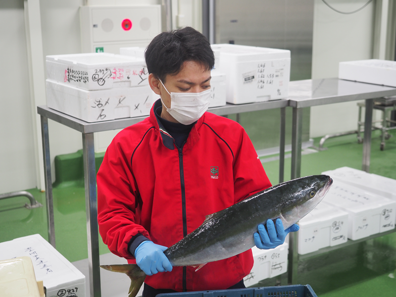 株式会社プレコエフユニットの求人・転職情報