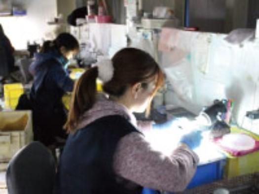 株式会社　カスミオプチカルの求人・転職情報