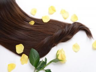 株式会社マインズの求人・転職情報