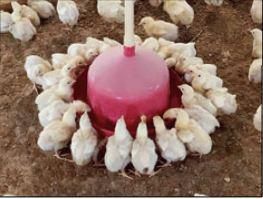 株式会社フェニックス 岩瀬事業所のアルバイト・バイト求人情報-04