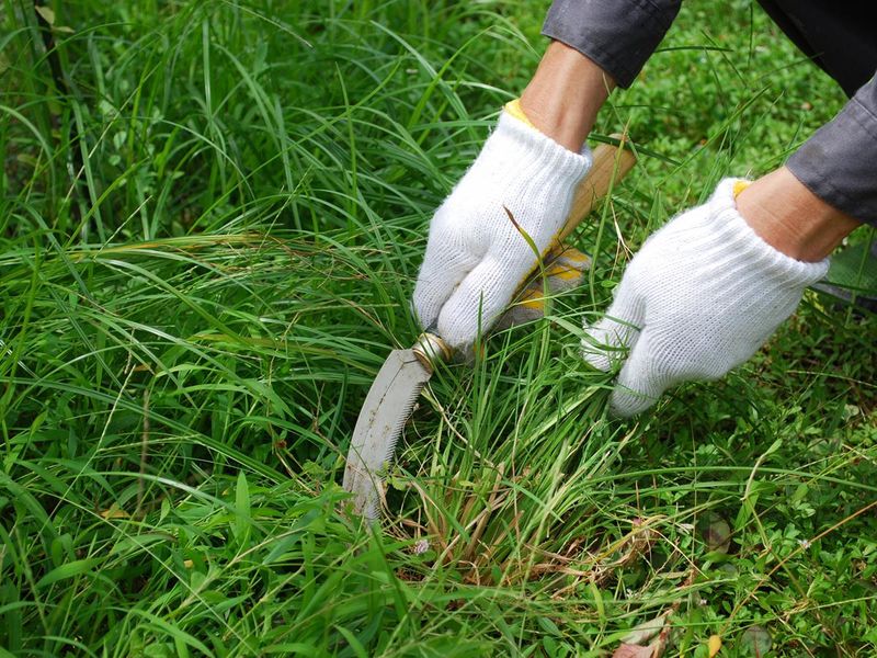 株式会社かたやま屋のアルバイト・バイト求人情報-02