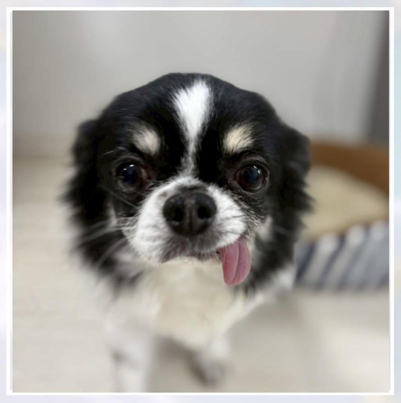 株式会社浜松マネジメントコンサルティングのアルバイト・バイト求人情報-12