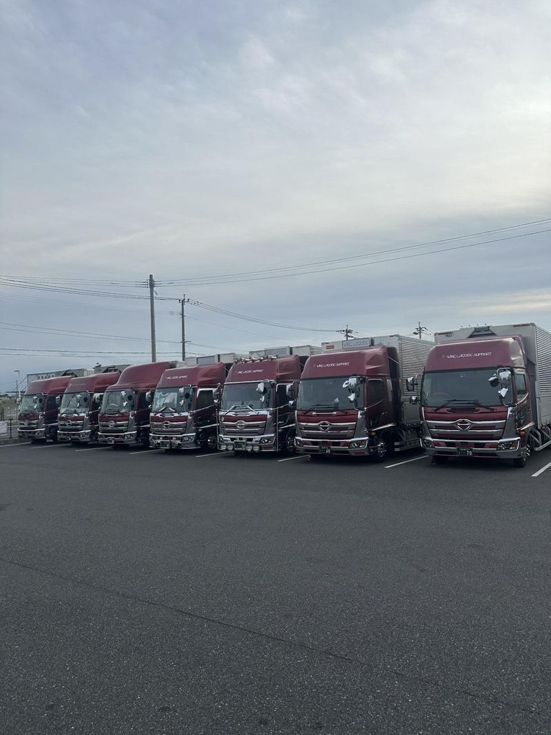 ウイング・ロジスティックサポート有限会社の求人・転職情報