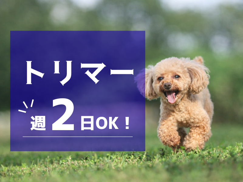 プードル専門トリミング&犬の幼稚園 『プードルプードル』のアルバイト・バイト求人情報-11