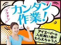 株式会社アイエーイー