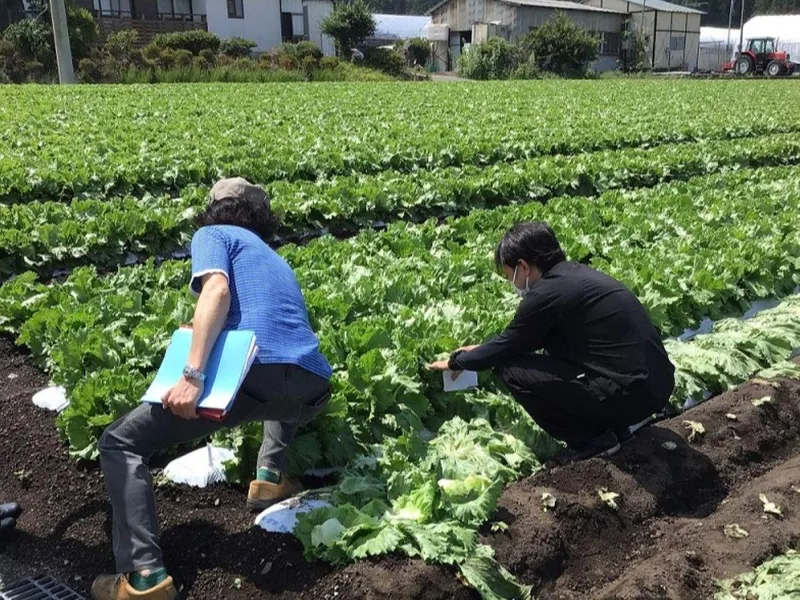 株式会社ベジテック赤城フーズ