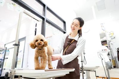 愛知県 名古屋市のトリミングサロン オープニングスタッフ の求人25 件