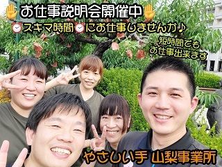 やさしい手甲府　山梨訪問介護事業所のアルバイト・バイト求人情報-03