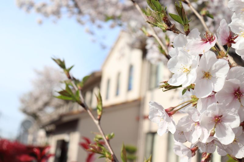 社会福祉法人葦の家福祉会　グループホーム(すまいるホーム)のアルバイト・バイト求人情報-06