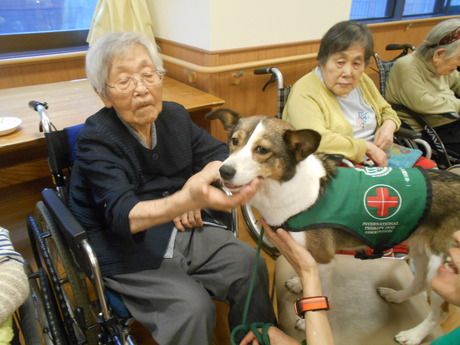 奉優会(特養)　特別養護老人ホームマイホームはるみの求人情報