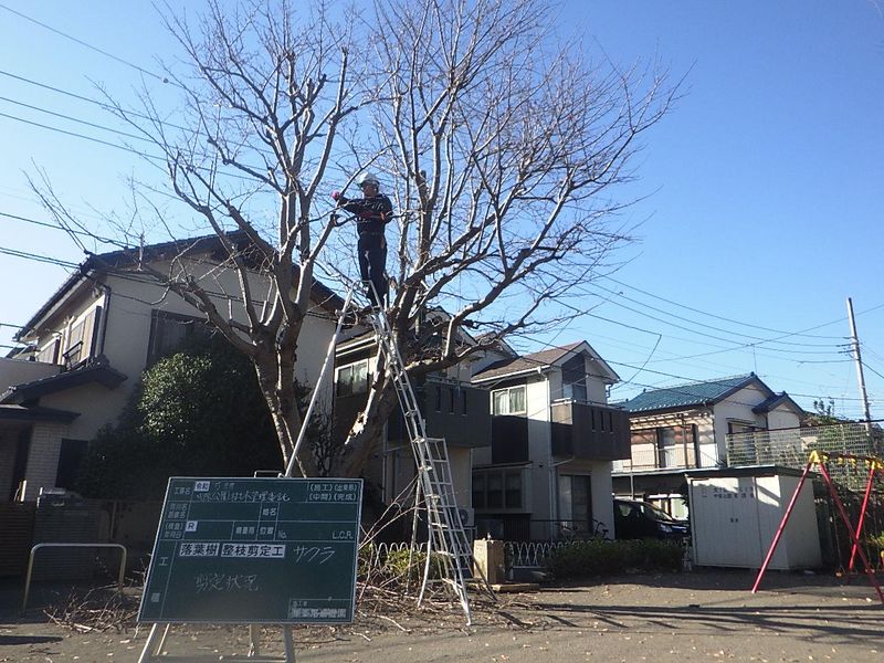 株式会社峯尾造庭園の求人・転職情報