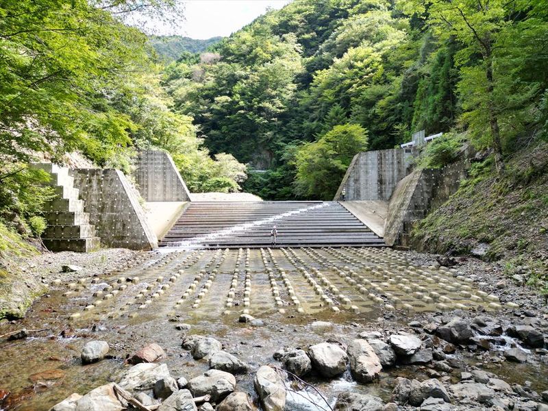 株式会社ネイチャーコンサルタントの求人・転職情報