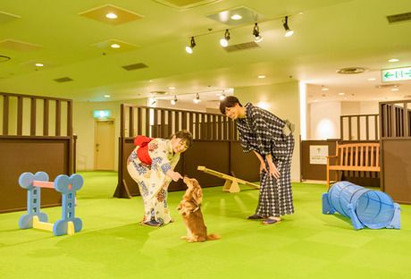 大江戸温泉物語　わんわんリゾート　粟津【正社員/調理】のアルバイト・バイト求人情報-04