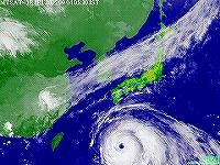 日本エクス・クロン株式会社