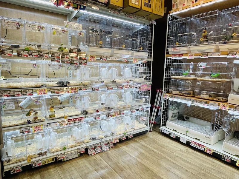 ペットショップAペット高槻富田丘店のアルバイト・バイト求人情報-02