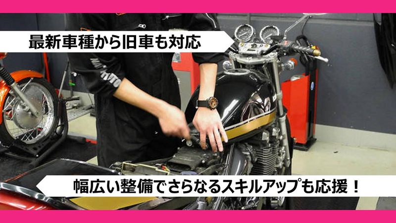 株式会社ナップスの求人・転職情報