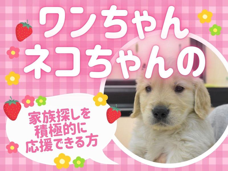 ワンラブ(ONELOVE)イオンタウン長崎長与店のアルバイト・バイト求人情報-05