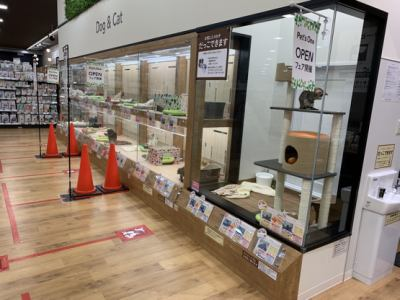 Pet's One 木津川店のアルバイト・バイト求人情報-05