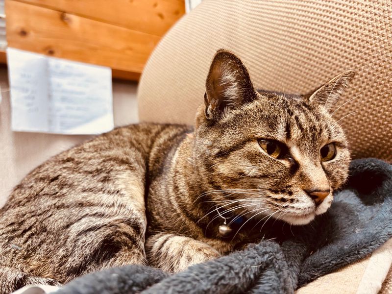 有限会社フジケン工業のアルバイト・バイト求人情報-04