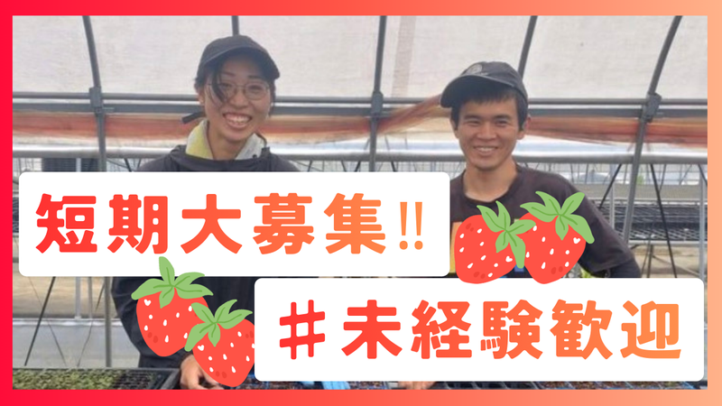 三重いなべ農場の派遣求人情報