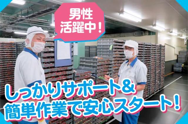 ㈱スリーエスフーズの求人・転職情報