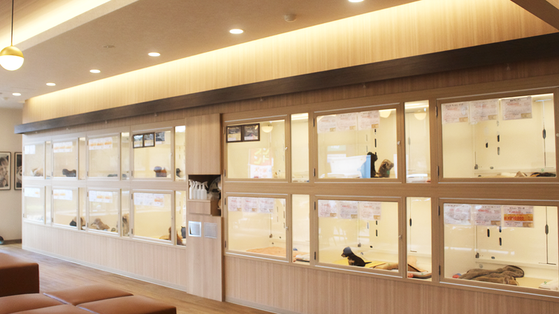 犬の家　金沢店(株式会社犬の家)のアルバイト・バイト求人情報-05