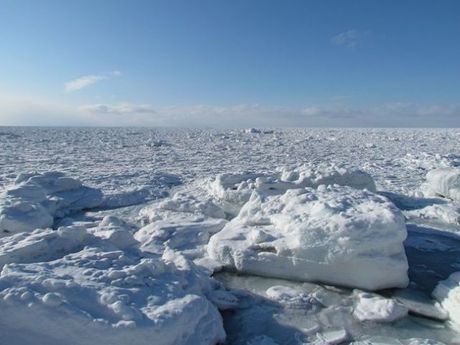 株式会社ヒューマニックのアルバイト・バイト求人情報-03