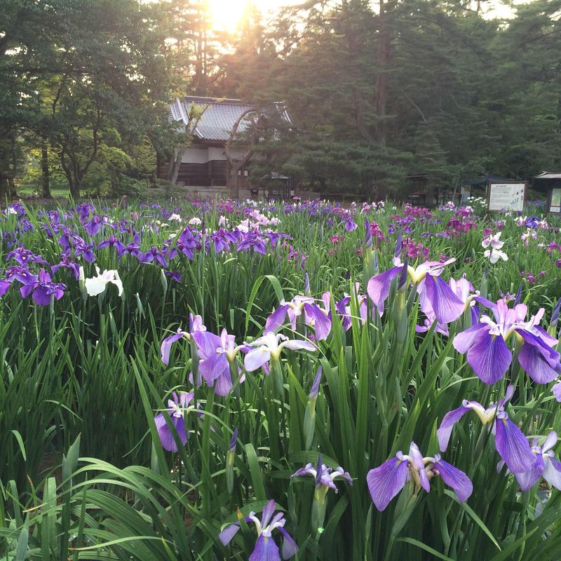 天台宗別格本山　醫王山　毛越寺のアルバイト・バイト求人情報-04
