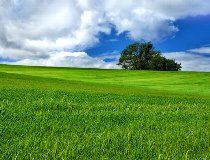 株式会社ドリームキャッチャーのアルバイト・バイト求人情報-03