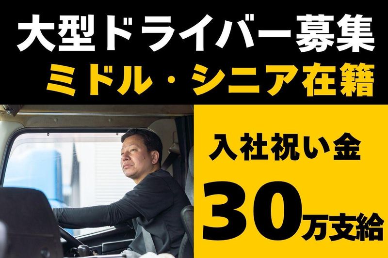 株式会社ロジックナンカイの求人・転職情報