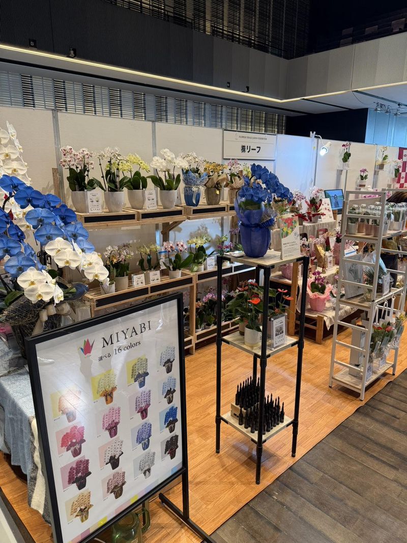 株式会社リーフのアルバイト・バイト求人情報-02