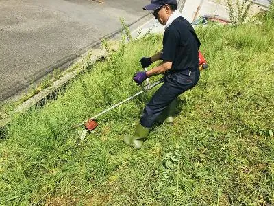 株式会社真宮の求人・転職情報